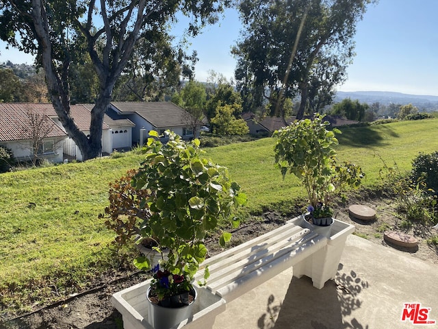 view of yard featuring a patio area