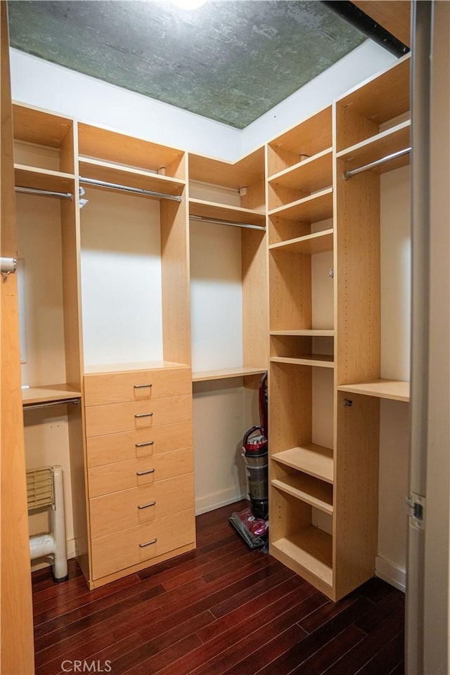 spacious closet with dark hardwood / wood-style flooring