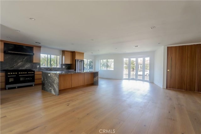 kitchen featuring high quality appliances, light wood-style floors, open floor plan, ventilation hood, and tasteful backsplash