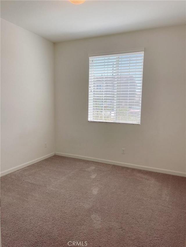 empty room featuring carpet floors