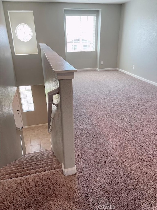 stairs with carpet floors