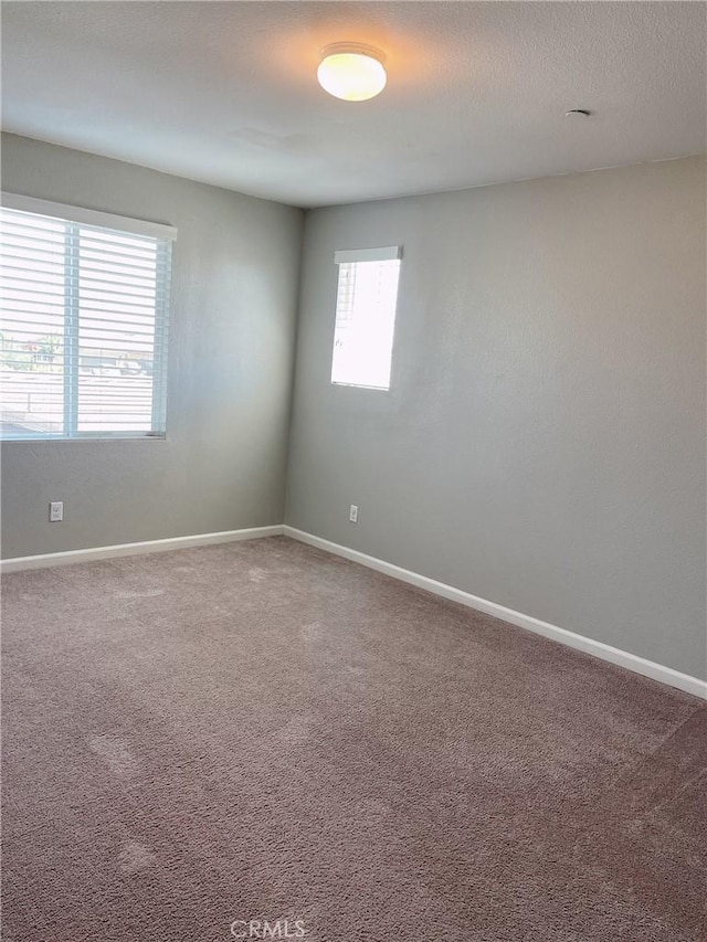 spare room featuring carpet floors