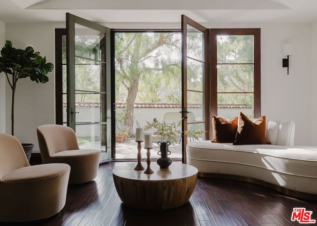 living area with dark wood-type flooring and a healthy amount of sunlight