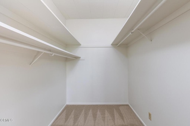 spacious closet featuring light carpet