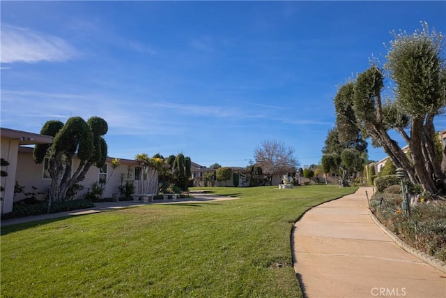 view of yard