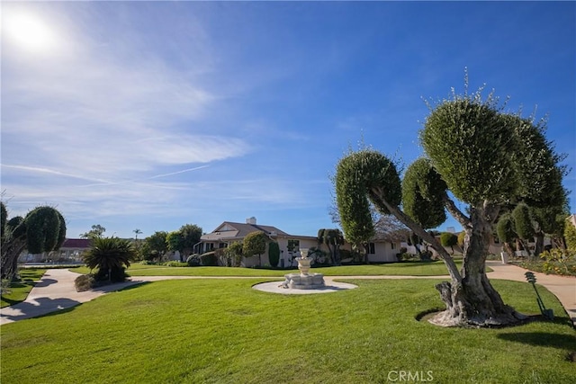 view of home's community with a lawn