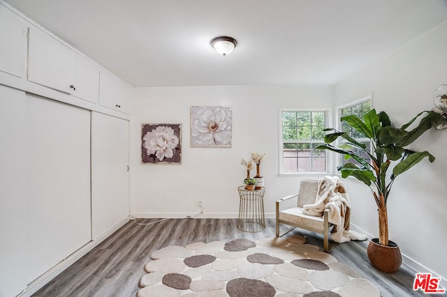 sitting room featuring light wood-type flooring