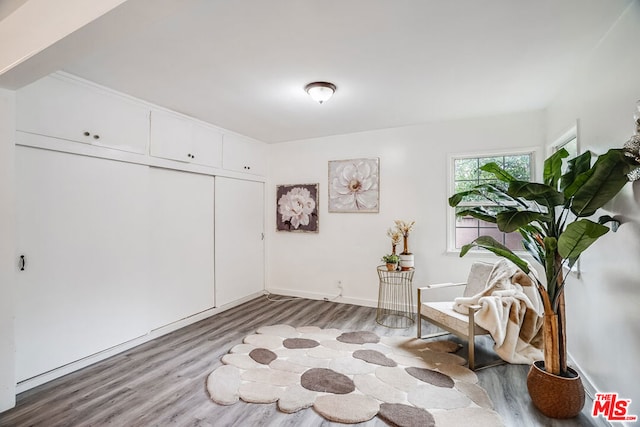 sitting room featuring light hardwood / wood-style flooring