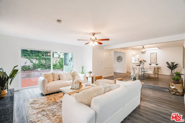 living room with dark hardwood / wood-style floors and ceiling fan with notable chandelier