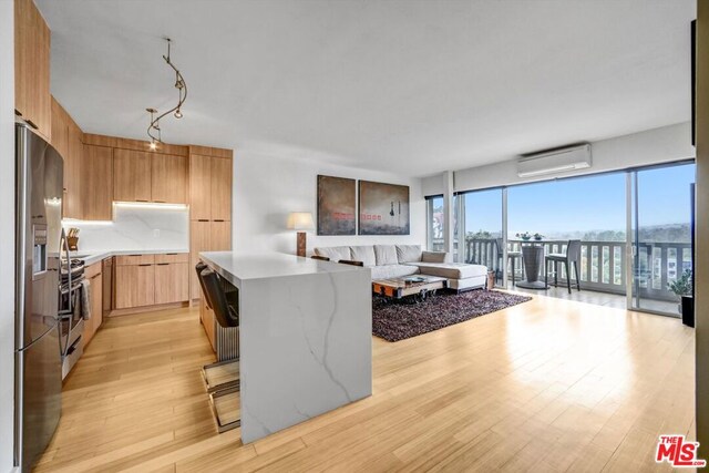 living room featuring light hardwood / wood-style floors and a wall mounted air conditioner