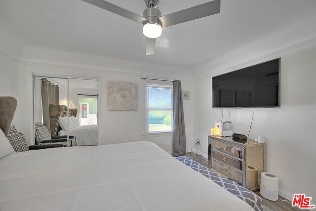 bedroom featuring ceiling fan, a closet, and wood-type flooring