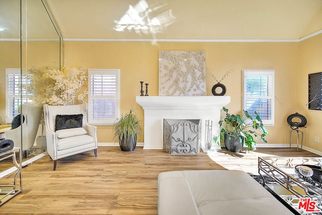 living room featuring wood-type flooring, plenty of natural light, and ornamental molding