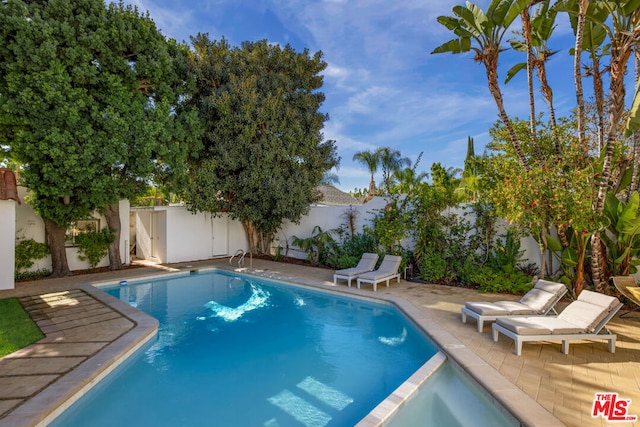 view of swimming pool featuring a patio area