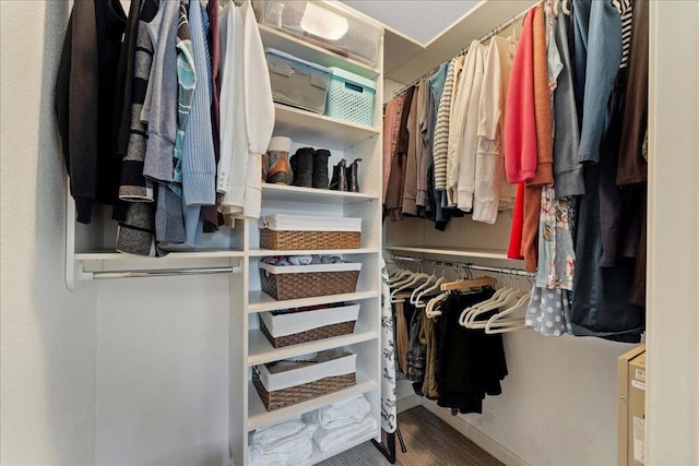 view of spacious closet