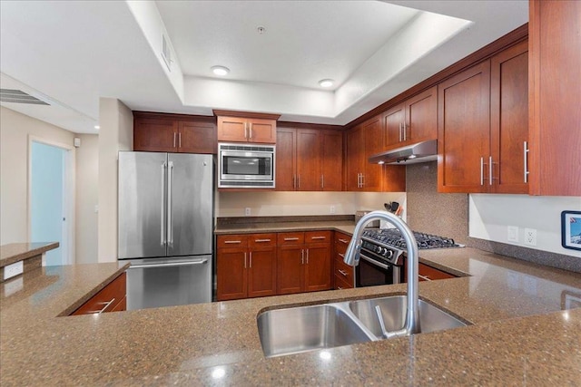 kitchen featuring stainless steel appliances, a raised ceiling, sink, and dark stone countertops