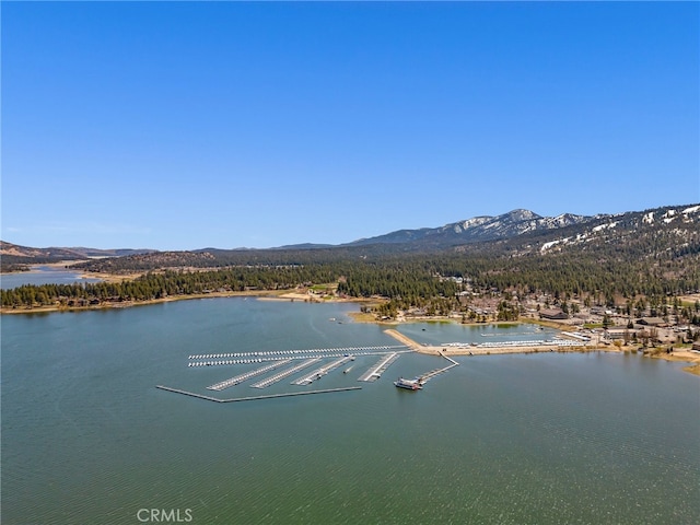 water view featuring a mountain view