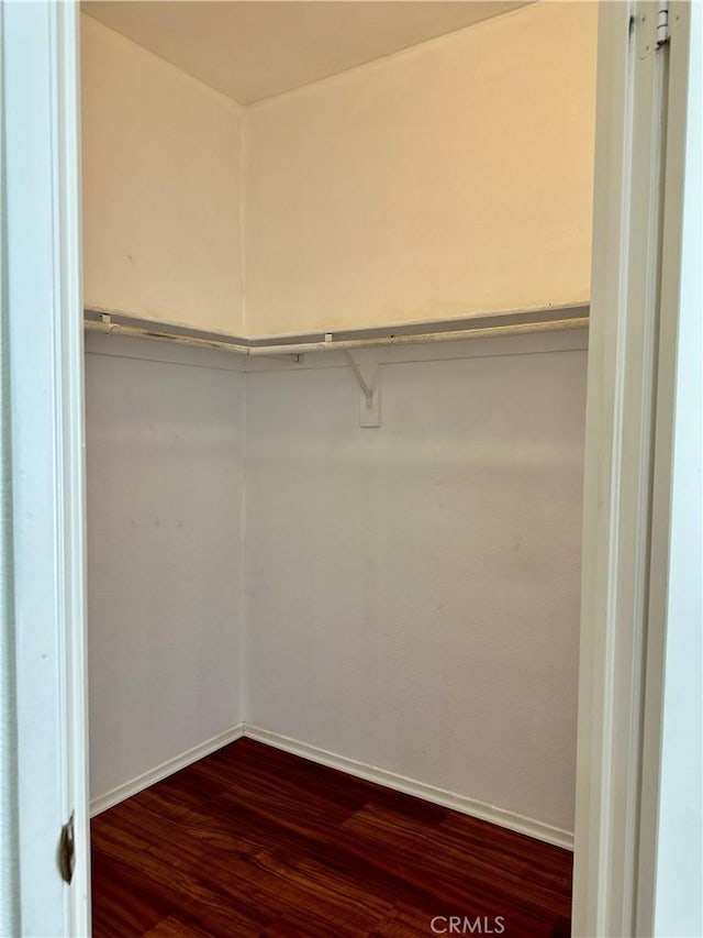 walk in closet featuring wood-type flooring