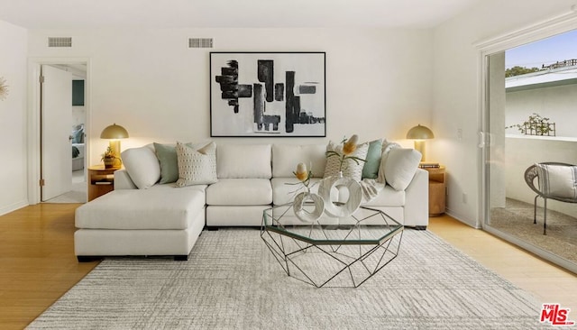 living room featuring hardwood / wood-style floors