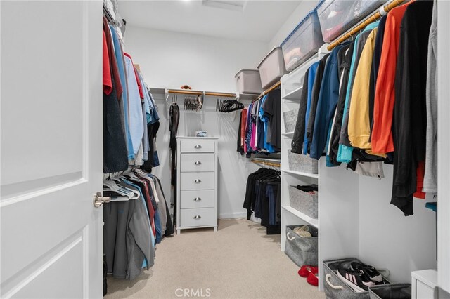 walk in closet with light carpet