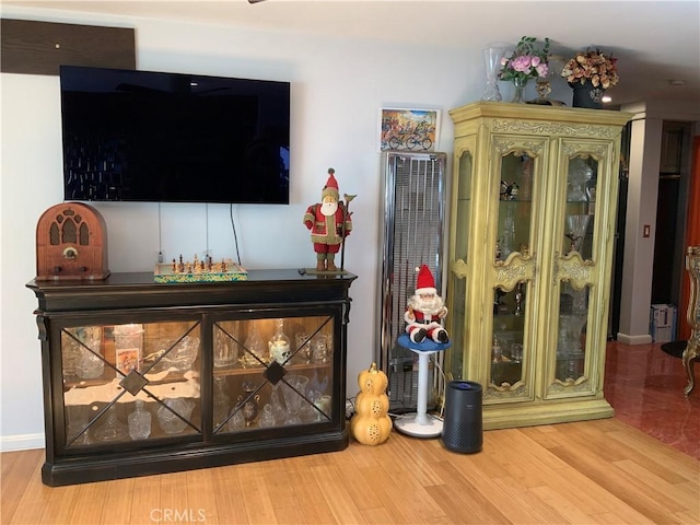 room details featuring indoor bar and hardwood / wood-style floors