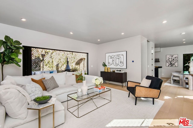 living room featuring light hardwood / wood-style floors