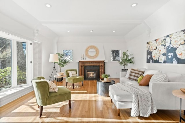 living room with lofted ceiling and light hardwood / wood-style flooring