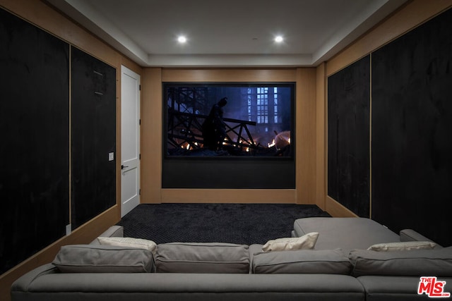 view of home theater room