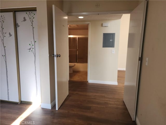 corridor featuring electric panel and dark hardwood / wood-style floors