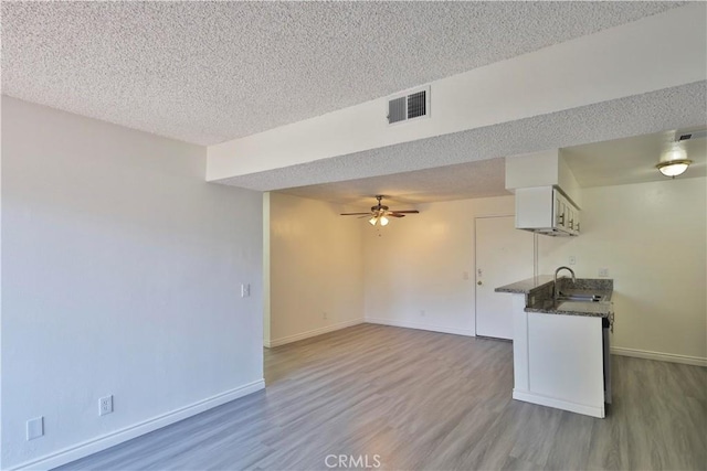 interior space with ceiling fan, wood-type flooring, sink, and a textured ceiling