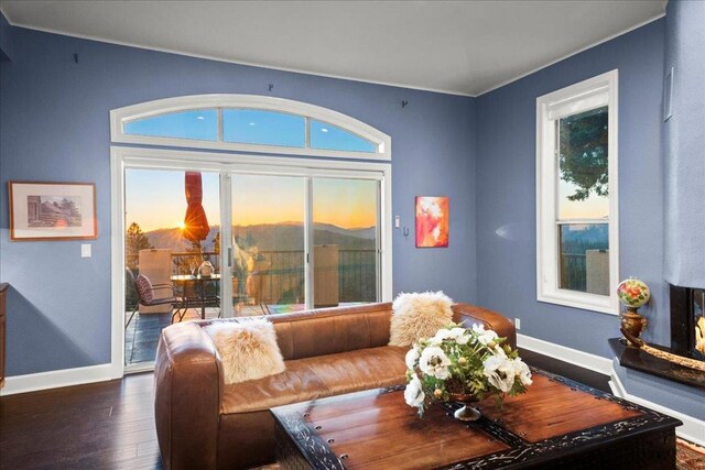 living room featuring dark hardwood / wood-style floors