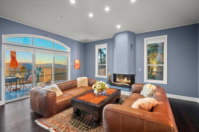 living room featuring a multi sided fireplace, dark hardwood / wood-style flooring, and a wealth of natural light