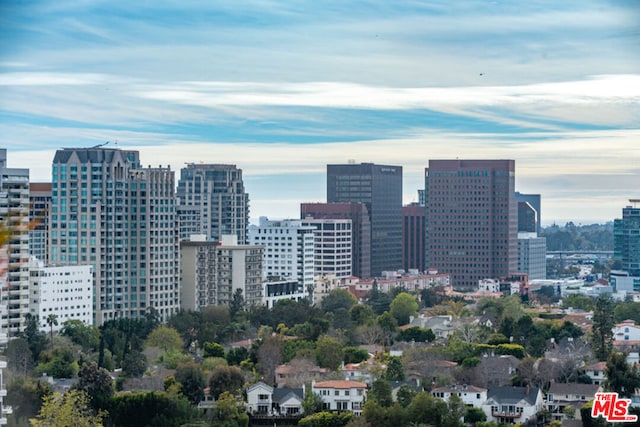 property's view of city