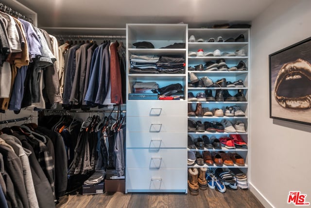 walk in closet with wood-type flooring