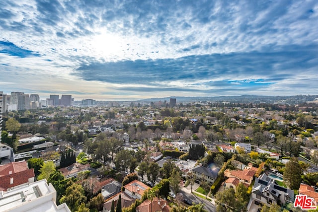 bird's eye view