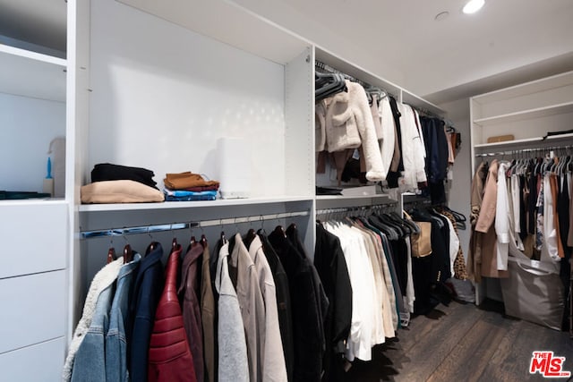 walk in closet featuring dark wood-type flooring