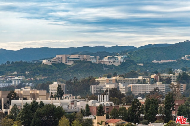 view of city featuring a mountain view