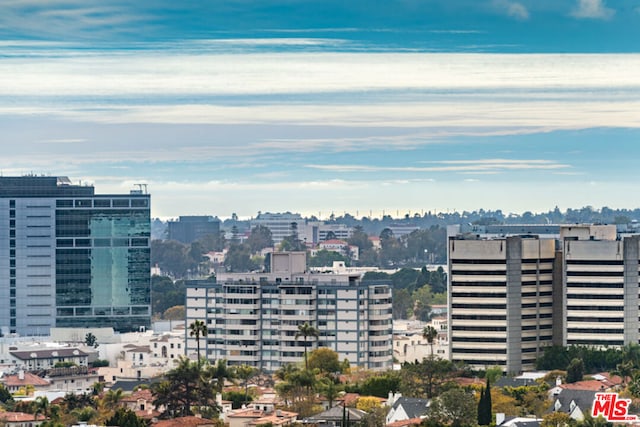 view of city