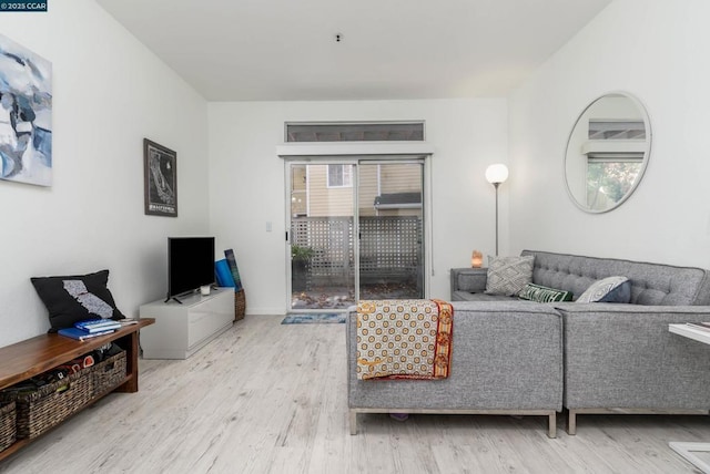 living room with light hardwood / wood-style flooring