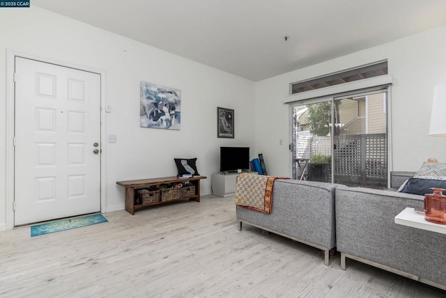 living room with light wood-type flooring