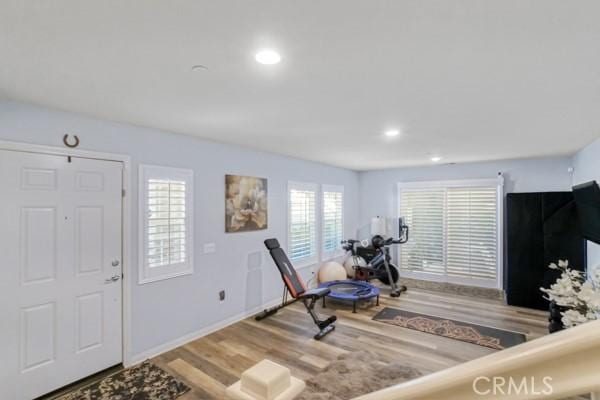 exercise room featuring wood-type flooring