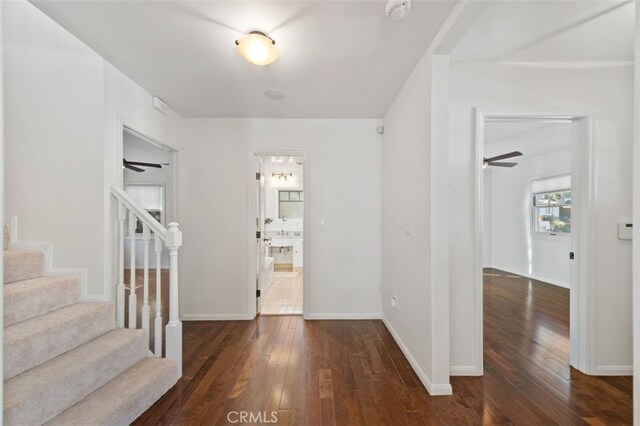 entryway featuring dark hardwood / wood-style floors