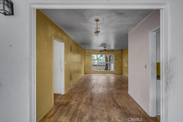 hallway featuring wood-type flooring and wooden walls