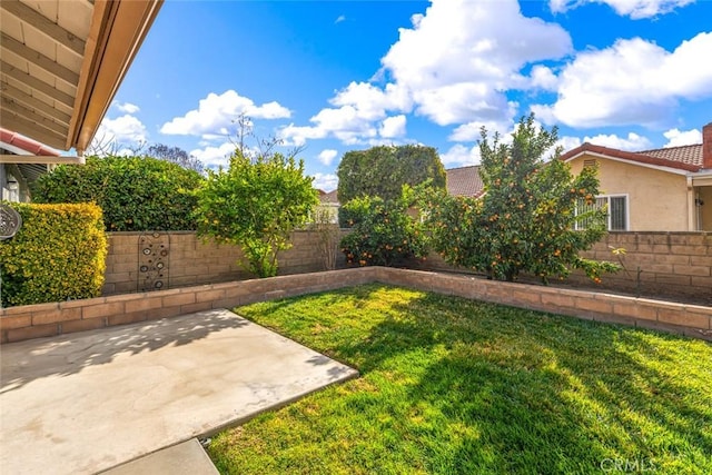 view of yard featuring a patio