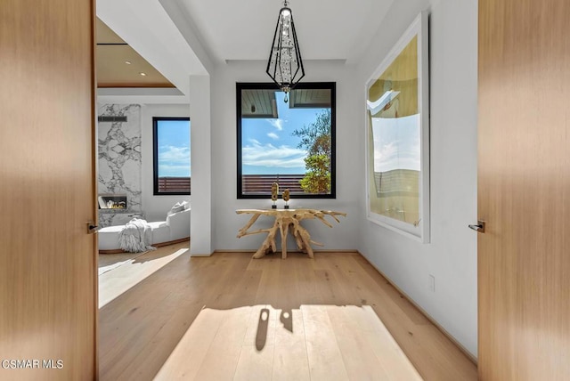 interior space with wood-type flooring and a wealth of natural light