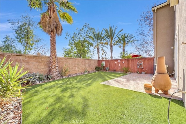 view of yard featuring a patio area