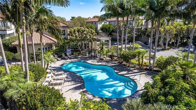 view of swimming pool featuring a patio