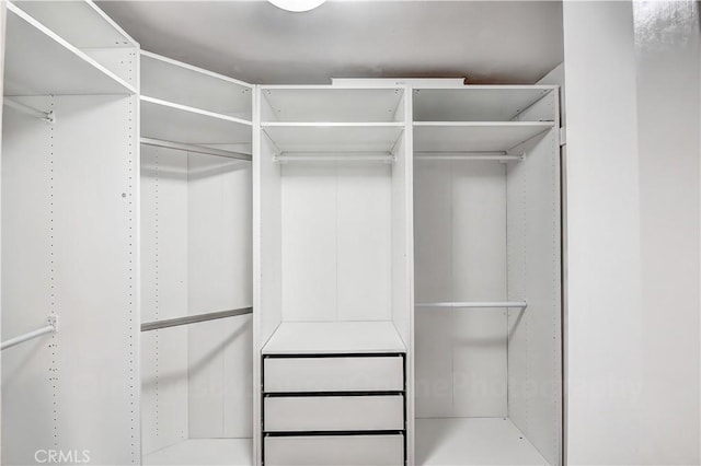 view of spacious closet