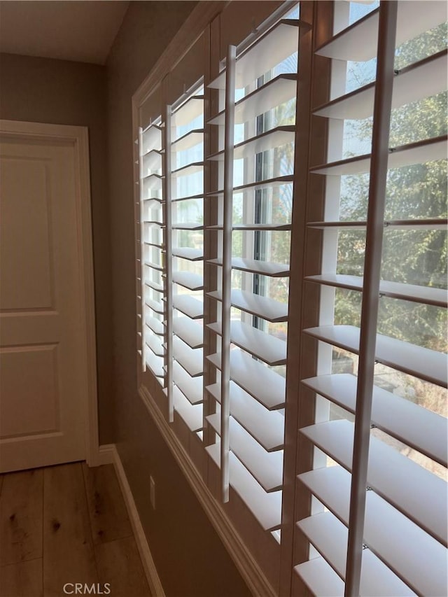 hallway with hardwood / wood-style floors and a wealth of natural light