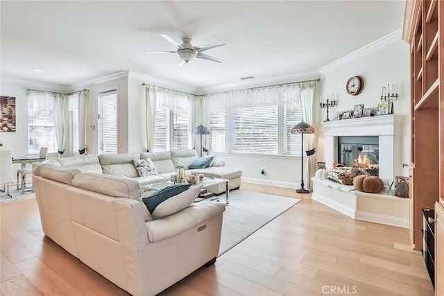 living room with ceiling fan, crown molding, and light hardwood / wood-style flooring