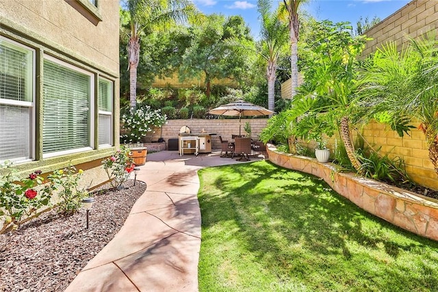 view of yard with a patio